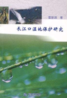 长江口湿地保护研究