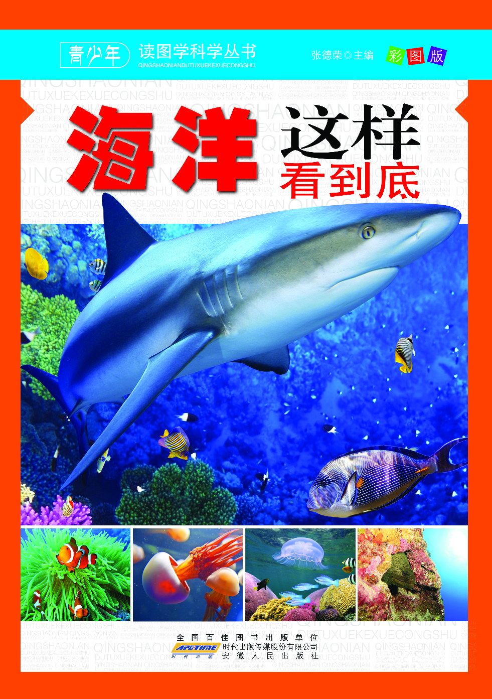 海洋这样看到底