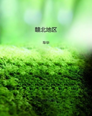 赣北地区