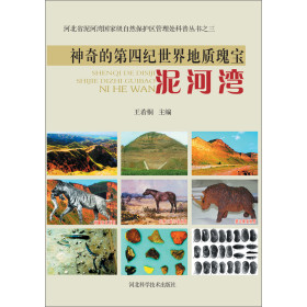 神奇的第四纪世界地质