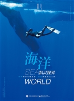 海洋精灵视界
