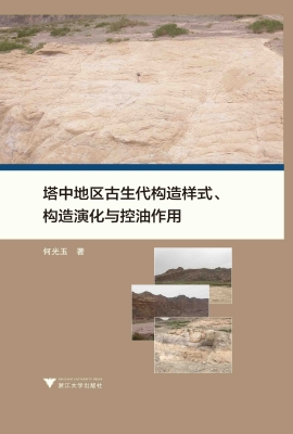 塔中地区古生代构造样