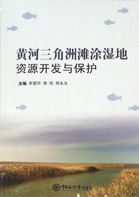 黄河三角洲滩涂湿地资