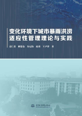 变化环境下城市暴雨洪