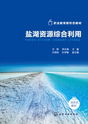 盐湖资源综合利用