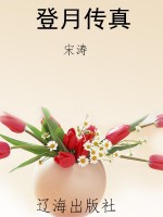 登月传真