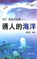 诱人的海洋