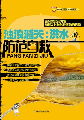 浊浪滔天：洪水的防范自