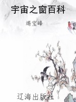 宇宙之窗百科