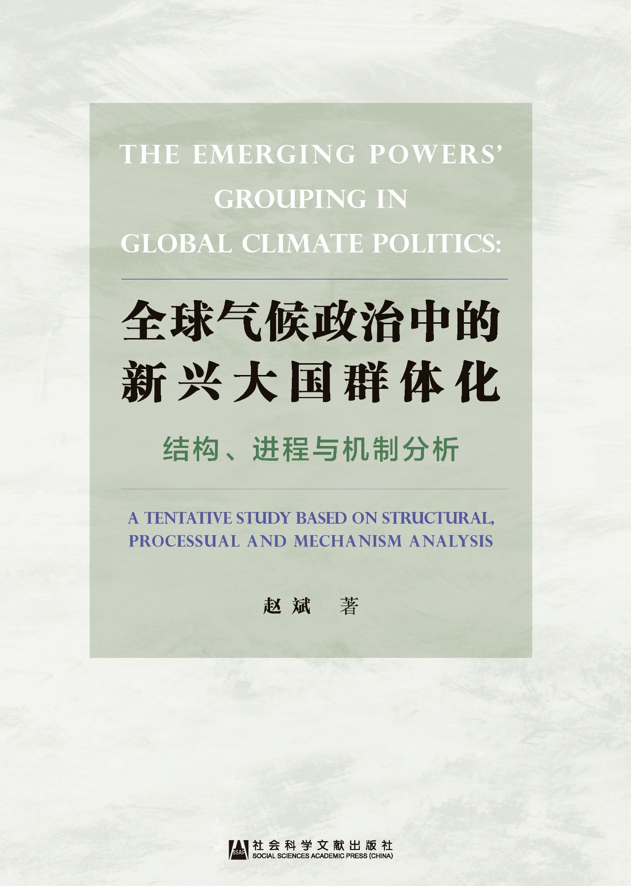 全球气候政治中的新兴