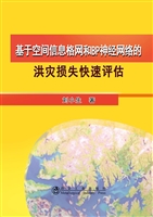 基于空间信息格网和BP