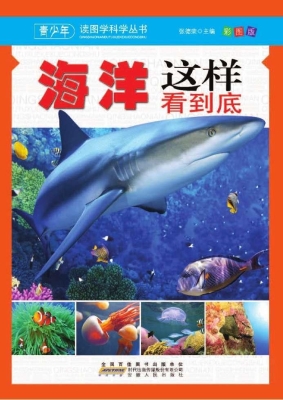 海洋这样看到底