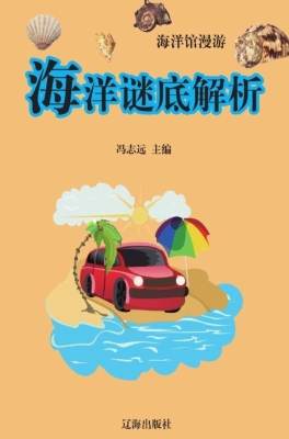 海洋谜底解析