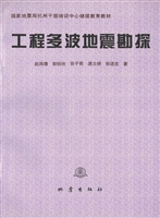 工程多波地震勘探