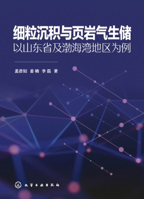 细粒沉积与页岩气生储