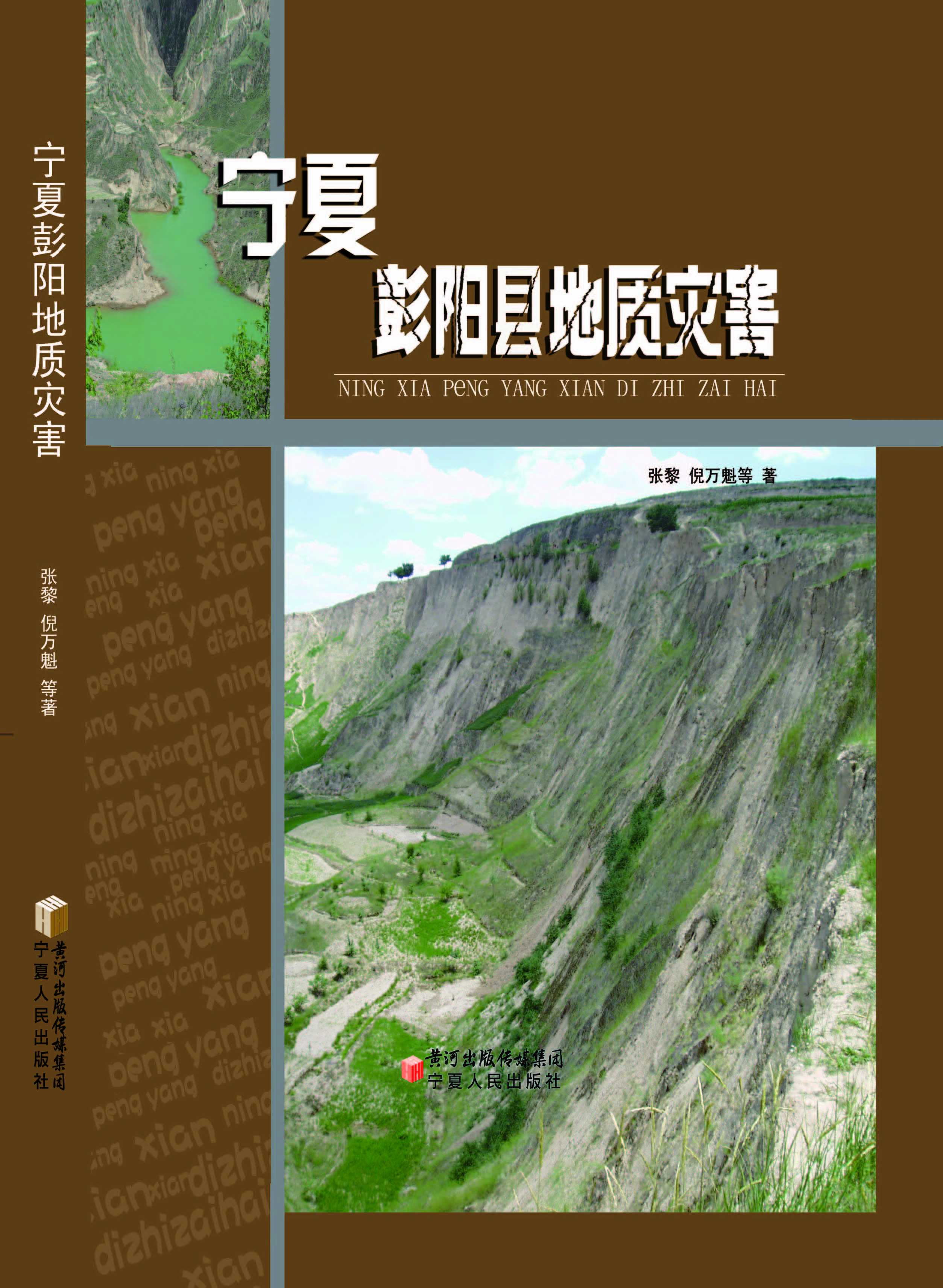 宁夏彭阳县地质灾害