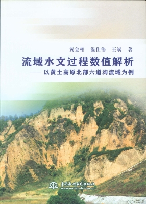 流域水文过程数值解析