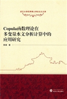 Copula函数理论在多变