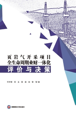 页岩气开采项目全生命