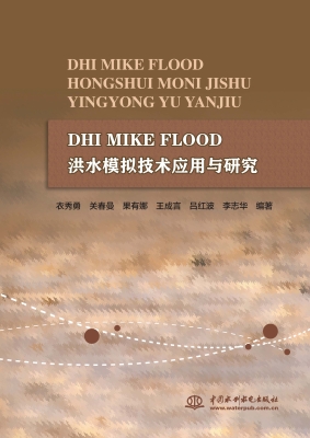 DHI MIKE FLOOD洪水模