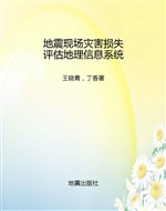 地震现场灾害损失评估