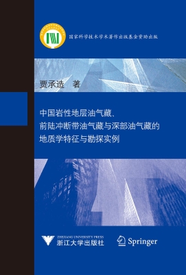 中国岩性地层油气藏、