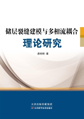 储层裂缝建模与多相流