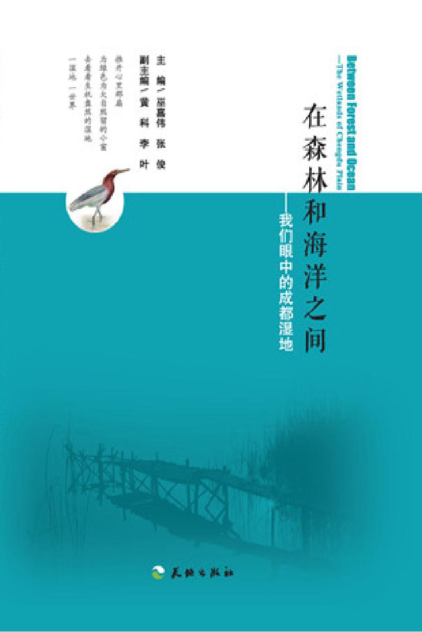 在森林和海洋之间