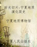 时光切片：宁夏地质演化