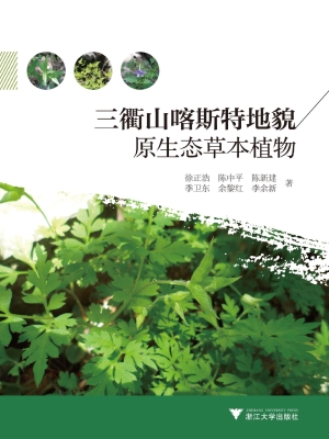 三衢山喀斯特地貌原生