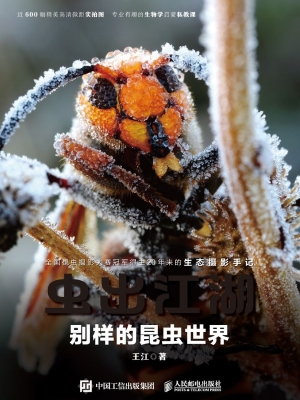 虫出江湖——别样的昆