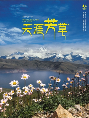 天涯芳草