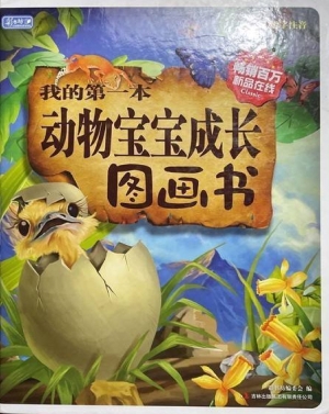 我的第一本动物宝宝成