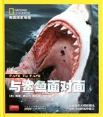 与鲨鱼面对面