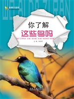 你了解这些鸟吗