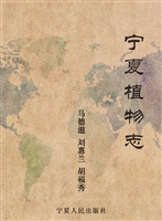 宁夏植物志