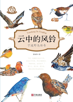 云中的风铃——宁波野
