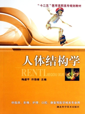 人体结构学