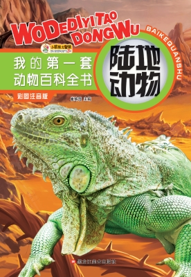 陆地动物