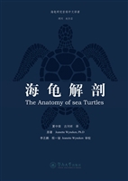 海龟解剖