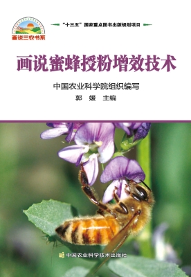 画说蜜蜂授粉增效技术