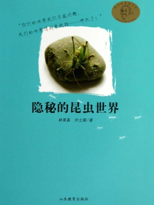 隐秘的昆虫世界