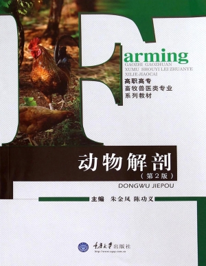 动物解剖