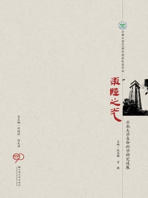 东陆之光——云南大学