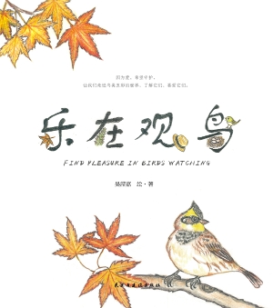 乐在观鸟