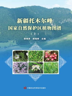 新疆托木尔峰国家级自
