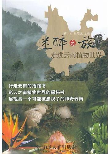 迷醉之旅——走进云南