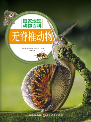 无脊椎动物