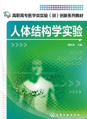 人体结构学实验