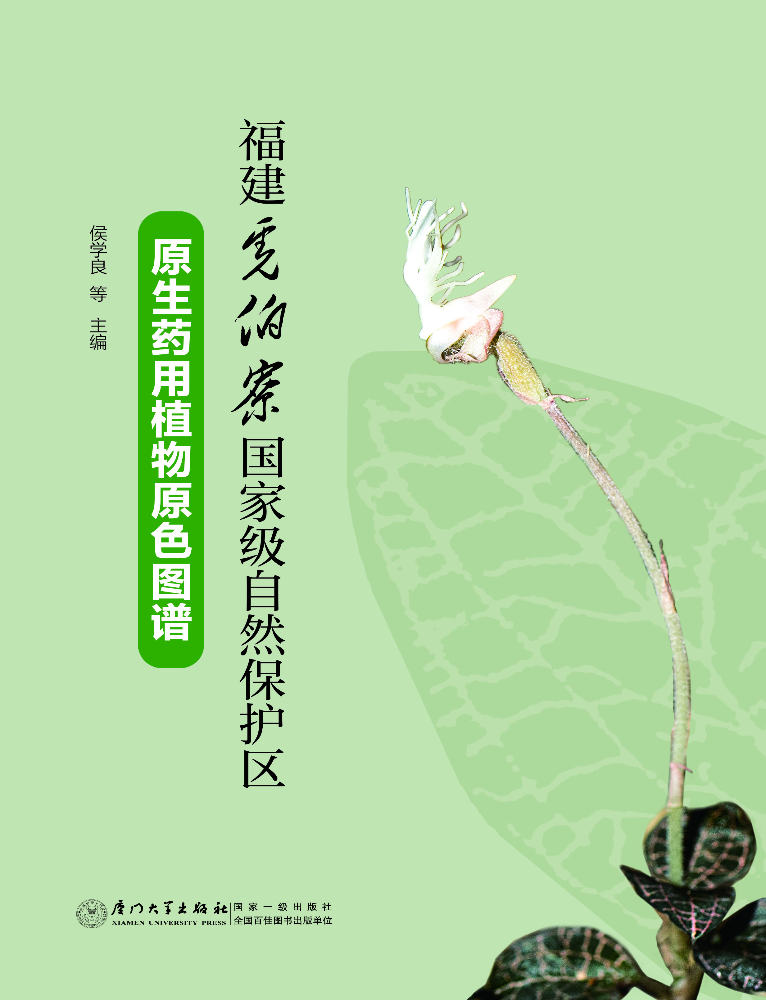 福建虎伯寮国家级自然
